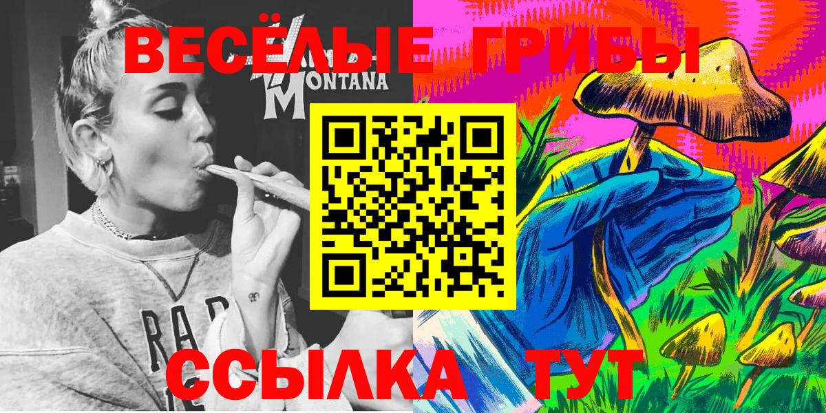 Псилоцибиновые грибы MAGIC MUSHROOMS Калуга