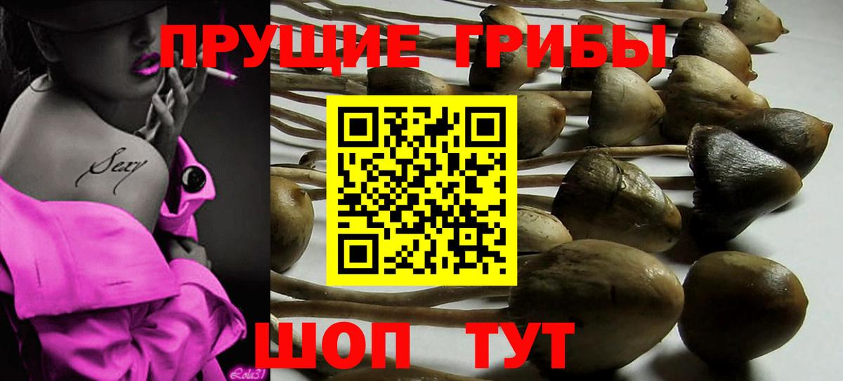 цена   Вход с VPN  Калуга  Галлюциногенные грибы MAGIC MUSHROOMS 